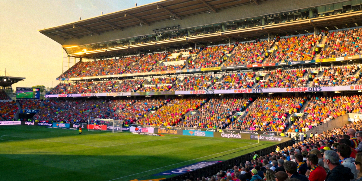 世界杯比赛现场全景，座无虚席的体育场和绿茵场