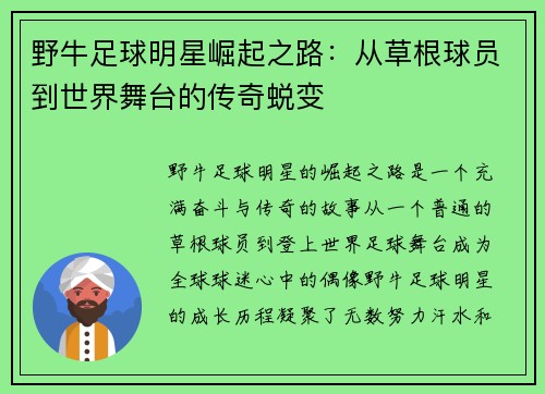 野牛足球明星崛起之路：从草根球员到世界舞台的传奇蜕变